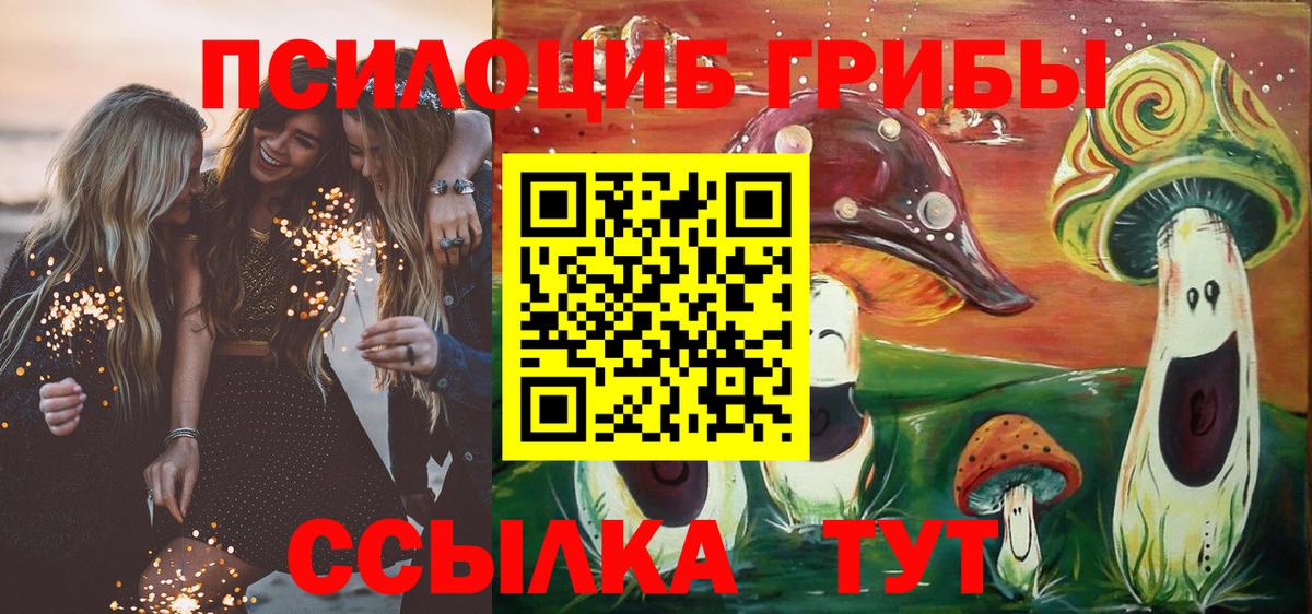 Псилоцибиновые грибы мухоморы Серов
