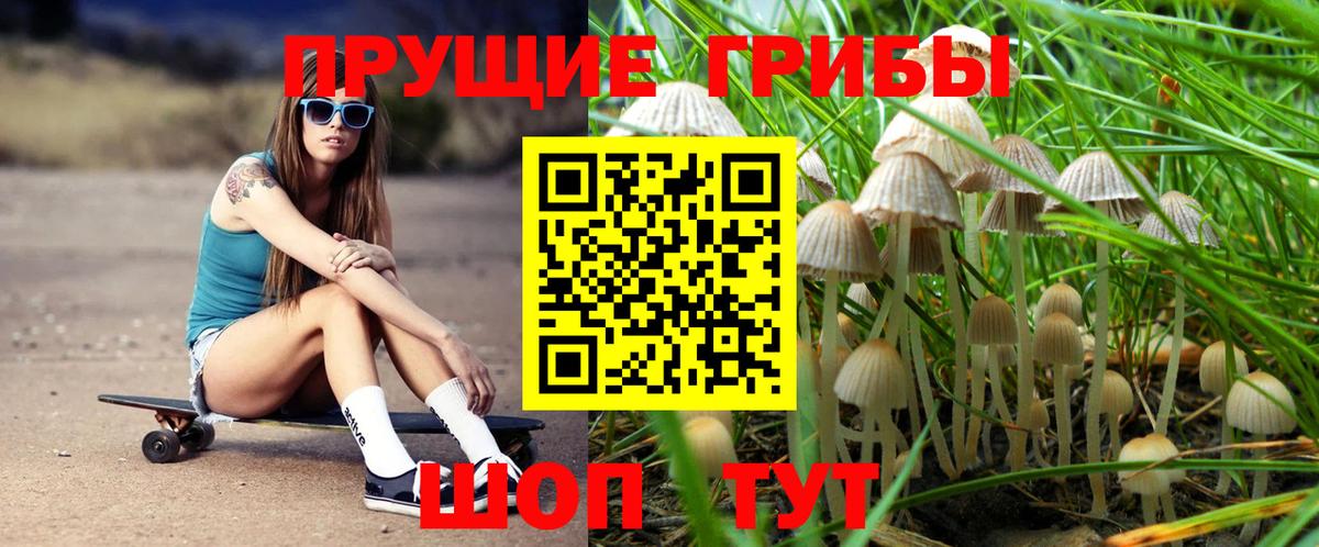 Псилоцибиновые грибы Psilocybe  Вход с VPN  где купить наркоту  Серов 